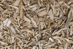 biomass boilers Danes Moss